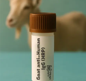 Goat Anti-Human IgG H&L (HRP)