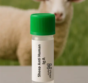Sheep Anti-Human IgA Antibody