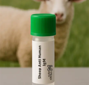 Sheep Anti-Human IgM