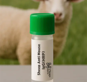 (Sheep Anti-Mouse Ig Antibody (HRP