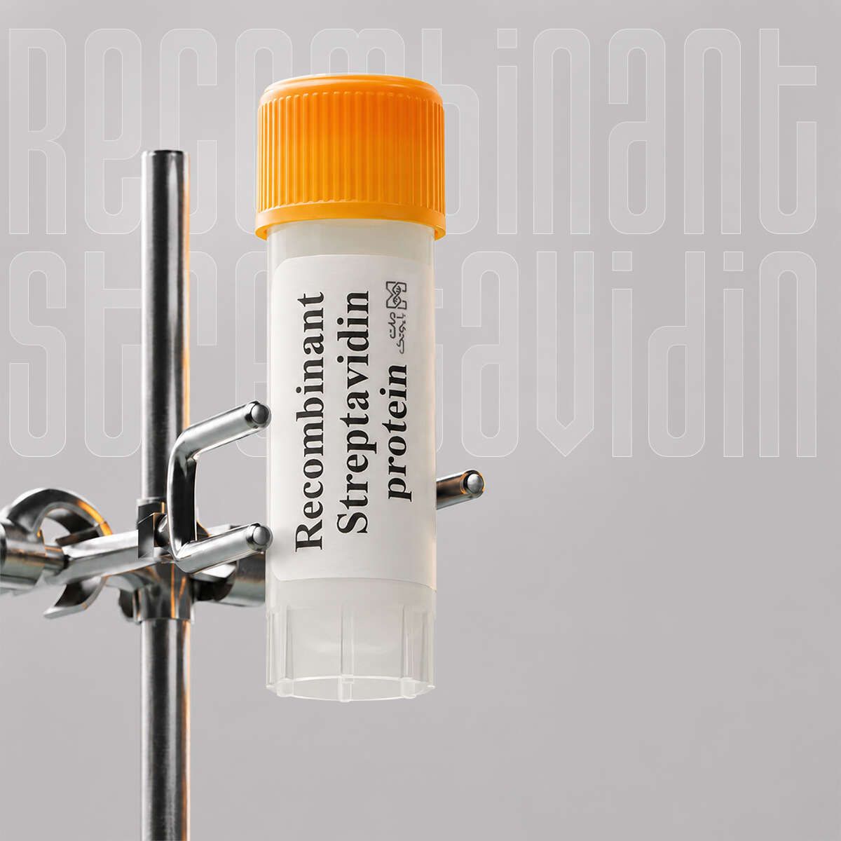 استرپتاویدین نوترکیب کونژوگه با (HRP) | Recombinant Streptavidin-HRP
